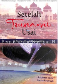 Image of Setelah tsunami usai